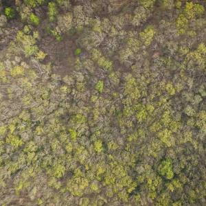 Photo #18 of Lot 42 TREE HOUSE PL, NELLYSFORD, VA 10.0 acres