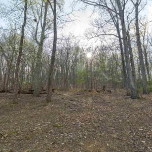 Photo #10 of Lot 42 TREE HOUSE PL, NELLYSFORD, VA 10.0 acres