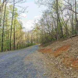 Photo #13 of Lot 42 TREE HOUSE PL, NELLYSFORD, VA 10.0 acres