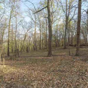 Photo #12 of Lot 42 TREE HOUSE PL, NELLYSFORD, VA 10.0 acres