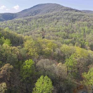 Photo #4 of Lot 42 TREE HOUSE PL, NELLYSFORD, VA 10.0 acres