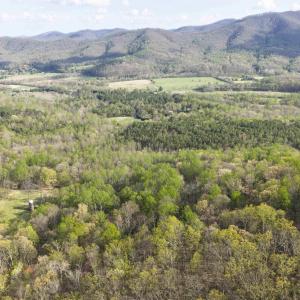 Photo #1 of Lot 42 TREE HOUSE PL, NELLYSFORD, VA 10.0 acres