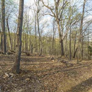 Photo #6 of Lot 42 TREE HOUSE PL, NELLYSFORD, VA 10.0 acres
