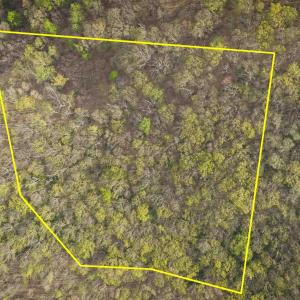 Photo #2 of Lot 42 TREE HOUSE PL, NELLYSFORD, VA 10.0 acres
