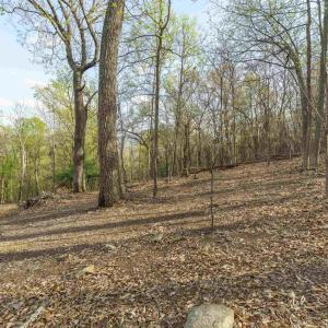 Photo #7 of Lot 42 TREE HOUSE PL, NELLYSFORD, VA 10.0 acres