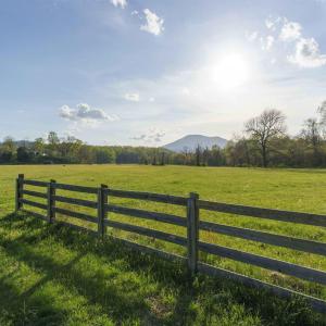 Photo #19 of Lot 42 TREE HOUSE PL, NELLYSFORD, VA 10.0 acres