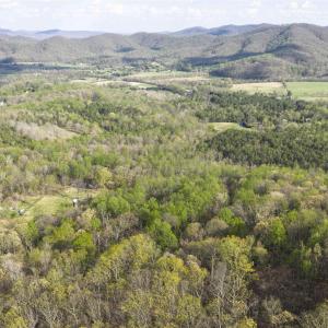 Photo #17 of Lot 42 TREE HOUSE PL, NELLYSFORD, VA 10.0 acres