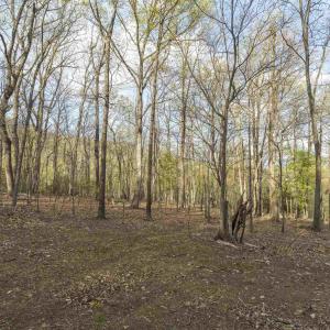 Photo #11 of Lot 42 TREE HOUSE PL, NELLYSFORD, VA 10.0 acres