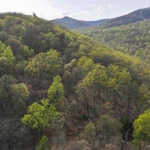 Photo #5 of Lot 42 TREE HOUSE PL, NELLYSFORD, VA 10.0 acres