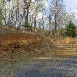 Photo #14 of Lot 42 TREE HOUSE PL, NELLYSFORD, VA 10.0 acres