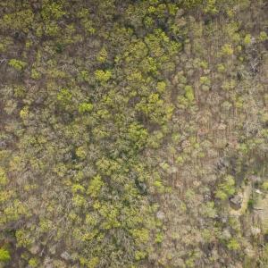 Photo #3 of Lot 42 TREE HOUSE PL, NELLYSFORD, VA 10.0 acres