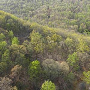 Photo #15 of Lot 42 TREE HOUSE PL, NELLYSFORD, VA 10.0 acres