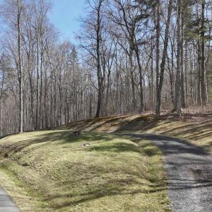 Photo #2 of 61 & 62 OLD COURSE TRAIL, HOT SPRINGS, VA 1.3 acres