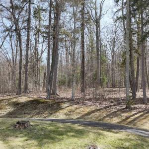 Photo #3 of 61 & 62 OLD COURSE TRAIL, HOT SPRINGS, VA 1.3 acres