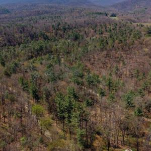 Photo #13 of TBD SHELL HOLLOW LN, DAYTON, VA 1.8 acres