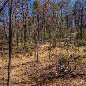 Photo #3 of TBD SHELL HOLLOW LN, DAYTON, VA 1.8 acres
