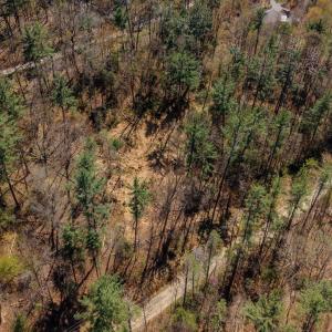 Photo #17 of TBD SHELL HOLLOW LN, DAYTON, VA 1.8 acres