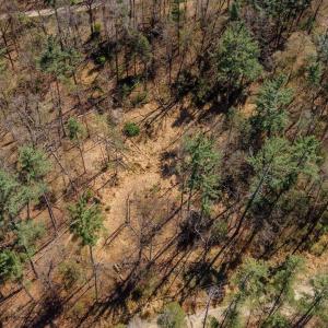 Photo #22 of TBD SHELL HOLLOW LN, DAYTON, VA 1.8 acres