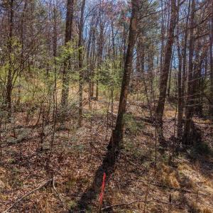 Photo #2 of TBD SHELL HOLLOW LN, DAYTON, VA 1.8 acres