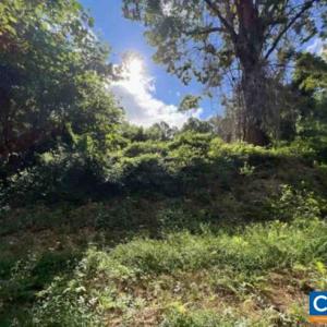 Photo #1 of TBD DRY BRIDGE RD, CHARLOTTESVILLE, VA 3.0 acres