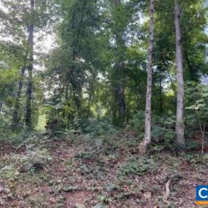 Photo #4 of TBD DRY BRIDGE RD, CHARLOTTESVILLE, VA 3.0 acres