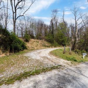 Photo #7 of TBD JACKS HILL RD, ROSELAND, VA 7.9 acres