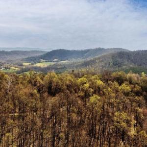 Photo #16 of TBD JACKS HILL RD, ROSELAND, VA 7.9 acres