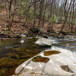 Photo #1 of TBD JACKS HILL RD, ROSELAND, VA 7.9 acres