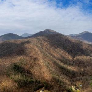 Photo #13 of TBD JACKS HILL RD, ROSELAND, VA 7.9 acres