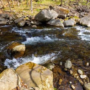 Photo #6 of TBD JACKS HILL RD, ROSELAND, VA 7.9 acres