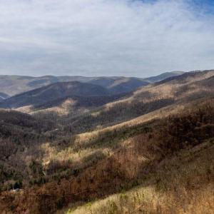 Photo #14 of TBD JACKS HILL RD, ROSELAND, VA 7.9 acres