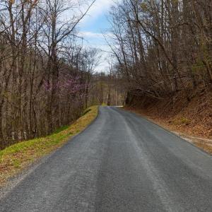 Photo #9 of TBD JACKS HILL RD, ROSELAND, VA 7.9 acres