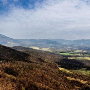 Photo #15 of TBD JACKS HILL RD, ROSELAND, VA 7.9 acres