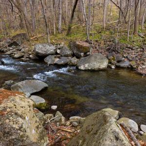 Photo #4 of TBD JACKS HILL RD, ROSELAND, VA 7.9 acres