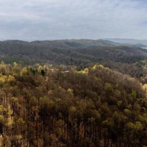 Photo #17 of TBD JACKS HILL RD, ROSELAND, VA 7.9 acres