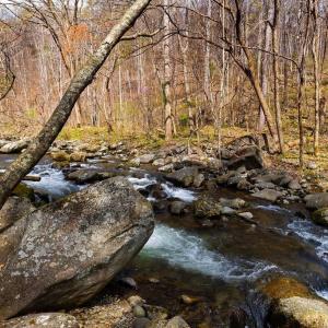 Photo #5 of TBD JACKS HILL RD, ROSELAND, VA 7.9 acres