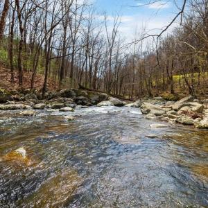 Photo #3 of TBD JACKS HILL RD, ROSELAND, VA 7.9 acres