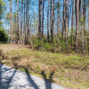 Photo #18 of TBD SHIPYARD RD, SHENANDOAH, VA 0.7 acres