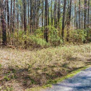 Photo #19 of TBD SHIPYARD RD, SHENANDOAH, VA 0.7 acres