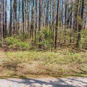 Photo #20 of TBD SHIPYARD RD, SHENANDOAH, VA 0.7 acres