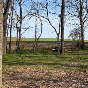 Photo #8 of TBD BROADHEAD SCHOOL RD, GREENVILLE, VA 3.9 acres