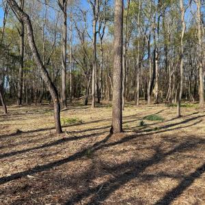 Photo #10 of TBD BROADHEAD SCHOOL RD, GREENVILLE, VA 3.9 acres