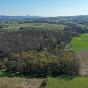 Photo #4 of TBD BROADHEAD SCHOOL RD, GREENVILLE, VA 3.9 acres