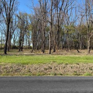 Photo #5 of TBD BROADHEAD SCHOOL RD, GREENVILLE, VA 3.9 acres