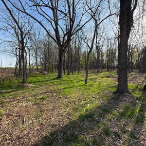 Photo #6 of TBD BROADHEAD SCHOOL RD, GREENVILLE, VA 3.9 acres