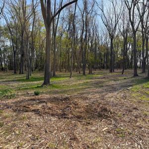 Photo #7 of TBD BROADHEAD SCHOOL RD, GREENVILLE, VA 3.9 acres