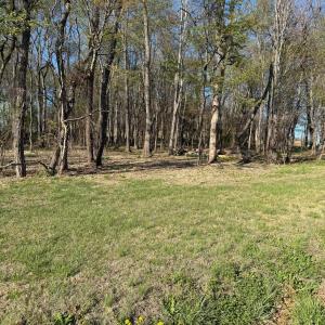 Photo #9 of TBD BROADHEAD SCHOOL RD, GREENVILLE, VA 3.9 acres