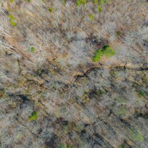 Photo #20 of CHURCHWOOD LN, CUMBERLAND, VA 208.7 acres