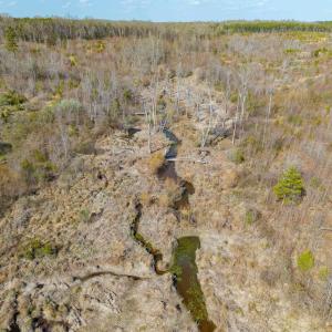 Photo #33 of CHURCHWOOD LN, CUMBERLAND, VA 208.7 acres