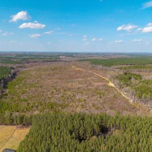 Photo #8 of CHURCHWOOD LN, CUMBERLAND, VA 208.7 acres